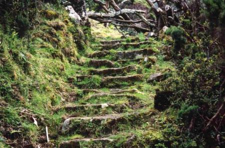 FAJÃ DA CALDEIRA DE SANTO CRISTO - São Jorge, nos Açores