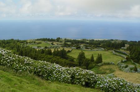 Levadas - Praia do Norte - Maps and GPS Tracks - Hiking Routes in Faial - Trails in Azores