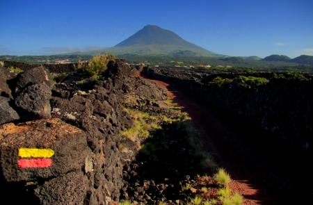  Vinhas da Criação Velha, Maps and GPS Tracks, Hiking Routes in Pico, Trails in Azores