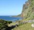  Fajã de Lopo Vaz - Maps and GPS Tracks - Hiking Routes in Flores - Trails in Azores